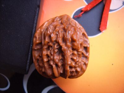 �������´������ͼƬ