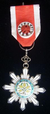 �������´������ͼƬ