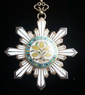 �������´������ͼƬ