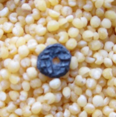 �������´������ͼƬ